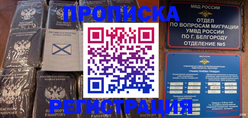 прописка гарантия в Кировске